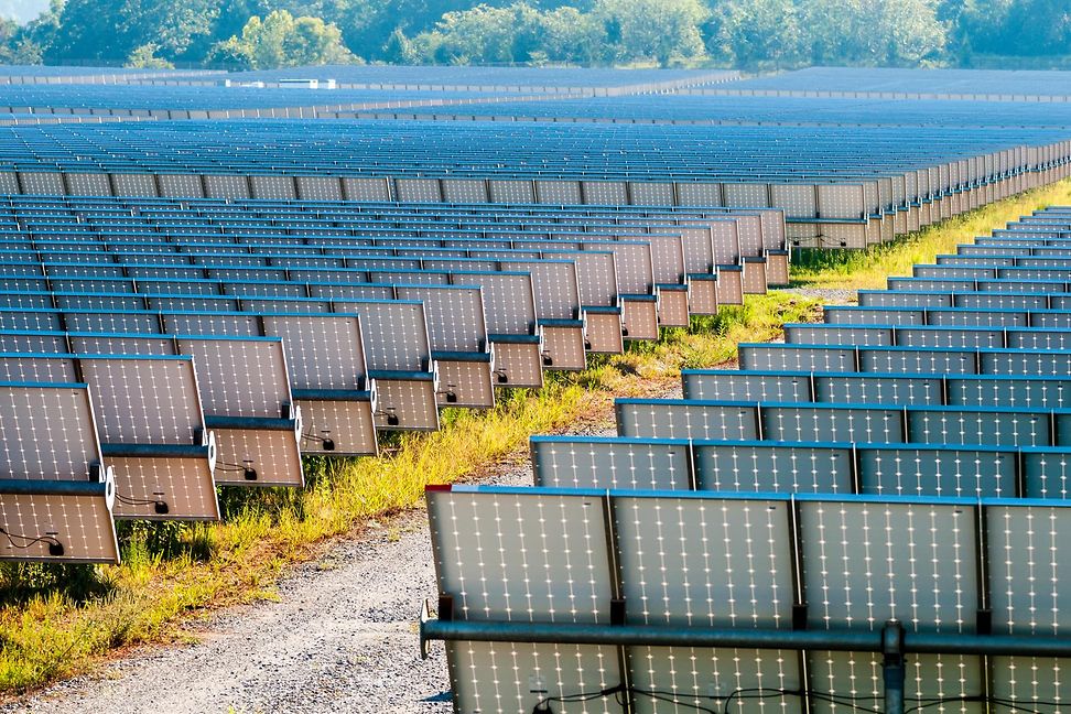 Rows of solar cells in a sunny field