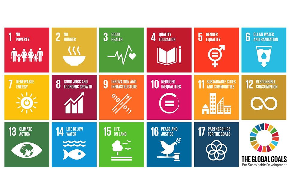 SDGs thematic investing