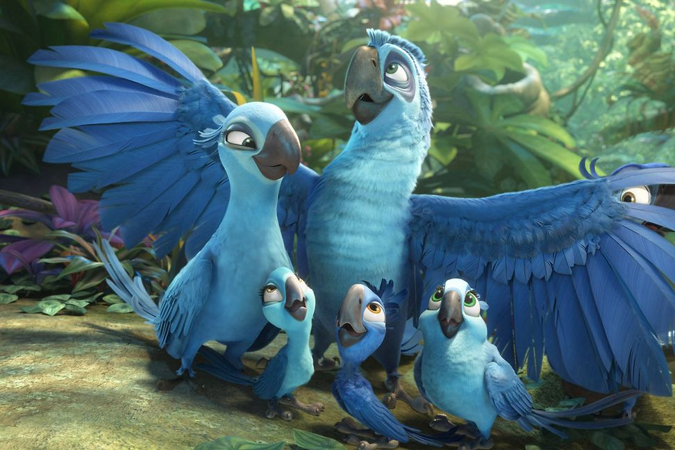 Blu, ein Macaw, ist der Hauptdarsteller des Zeichentrickfilms "Rio"