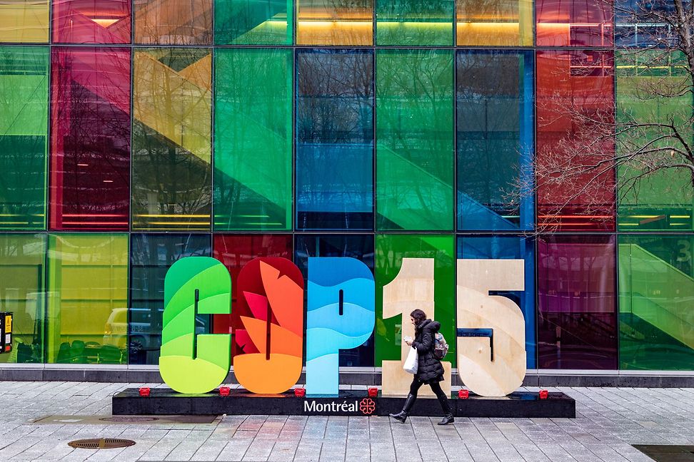 A woman walks past an installation for the COP15 conference, which focused on biodiversity
