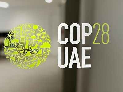 Strategist COP 28
