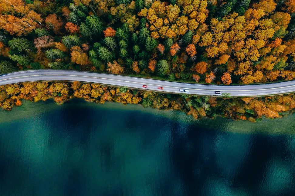 Coastal road in autumn