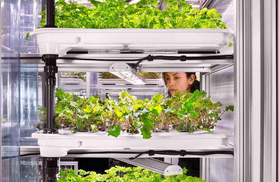 Infarm urban vertical farming