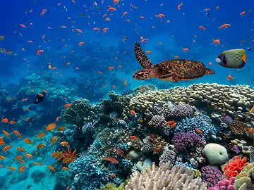 How can investors assess and address nature risks and opportunities, such as ecosystem resilience and nature loss, within their investment process?