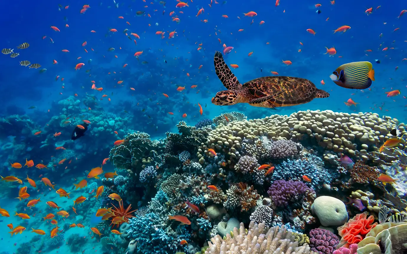 How can investors assess and address nature risks and opportunities, such as ecosystem resilience and nature loss, within their investment process?