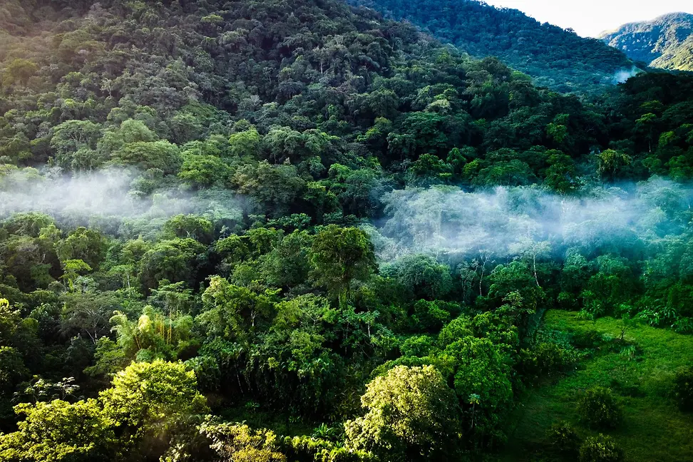 If carbon's advantage is its universality, the challenge that nature presents is that its impact is inherently local.