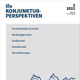 ifo Konjunktur-Perspektiven